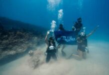 Charly Recycle organiza viaje para concientizar sobre el cuidado del planeta viaje a Cabo Pulmo Charly Recycle