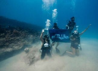 viaje a Cabo Pulmo Charly Recycle