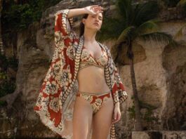 colección Reverie Zingara