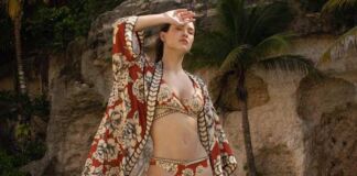 colección Reverie Zingara