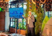 Presentan Ecovallas, revolucionario medio publicitario que purifica el aire Ecovallas purifican el aire