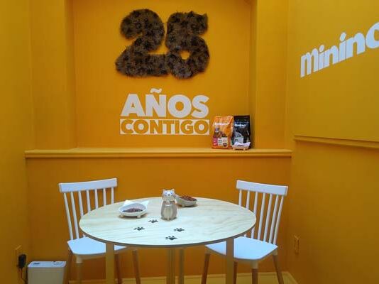Casa Minino, una experiencia instagrameable para los catlovers Casa Minino
