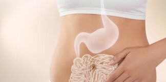 tener sistema digestivo saludable