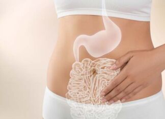 tener sistema digestivo saludable