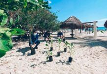 descuentos Iberostar Buen Fin