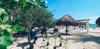 descuentos Iberostar Buen Fin