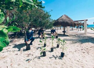 descuentos Iberostar Buen Fin