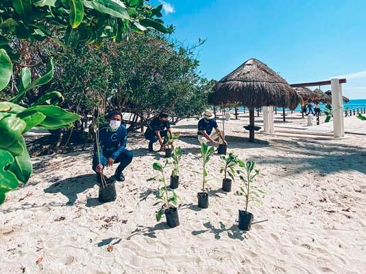 descuentos Iberostar Buen Fin