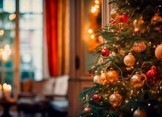 Tips para ofrecer a tus invitados una casa limpia y segura en Navidad cómo tener una casa limpia en navidad