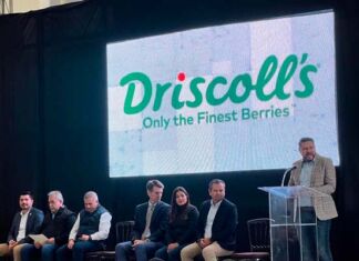 Driscoll’s inaugura nuevo Centro Frigorífico “Altos” en Jalisco inauguración centro frigorífico Altos Dricoll's