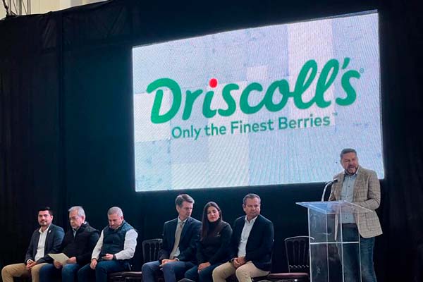 cooler-altos-driscolls inauguración centro frigorífico Altos Dricoll's