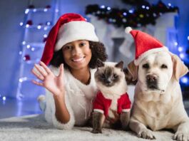 cómo cuidar a las mascotas en navidad