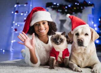 cómo cuidar a las mascotas en navidad