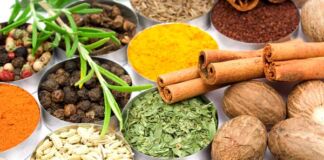 uso de especias en cocina mexicana