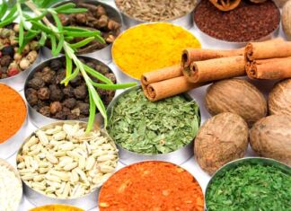 Explorando el mundo de los sabores intensos: Especias en la cocina mexicana uso de especias en cocina mexicana
