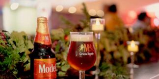 cerveza Modelo Noche Especial