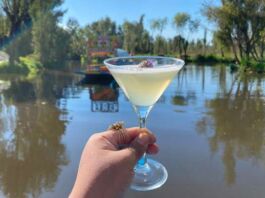 prácticas de sustentabilidad Tequila Herradura