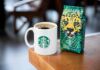 Clientes de Starbucks podrán elegir entre dos granos mexicanos para su “café del día” granos mexicanos Starbucks