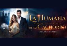 Novelas web digitales en España