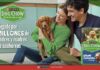 alimento para cachorros Dog Chow Gran Comienzo