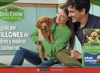Dog Chow Gran Comienzo contribuye al sano crecimiento de cachorros alimento para cachorros Dog Chow Gran Comienzo