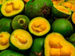 Aceite de Pequí, la tendencia en nutrición para el cabello en 2024 beneficios aceite de pequí