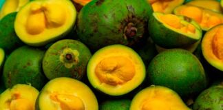 beneficios aceite de pequí