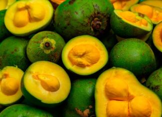 Aceite de Pequí, la tendencia en nutrición para el cabello en 2024 beneficios aceite de pequí