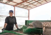 Campaña “¿Por qué son así de ricas las papas Sabritas?” resalta la labor de los agricultores papas Sabritas trabaja con agricultores mexicanos