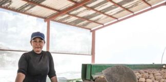 papas Sabritas trabaja con agricultores mexicanos