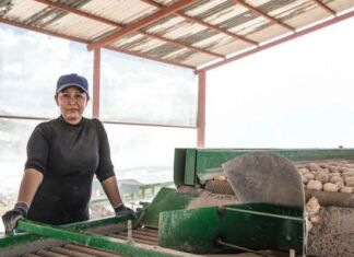 papas Sabritas trabaja con agricultores mexicanos