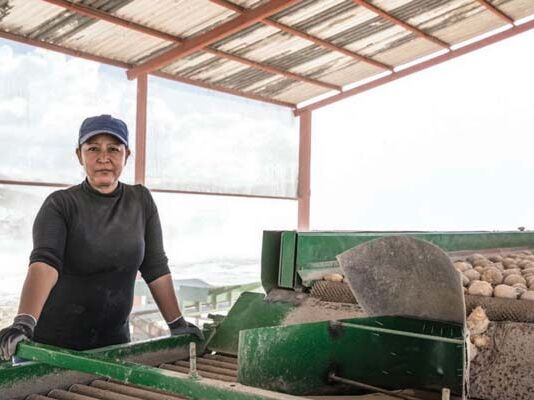 papas Sabritas trabaja con agricultores mexicanos