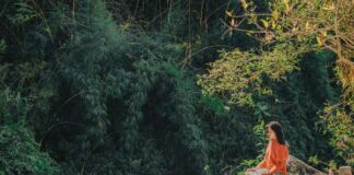 fragancias ecosistemas mexicanos Air Wick