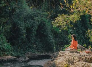 Air Wick lanza fragancias inspiradas en ecosistemas mexicanos fragancias ecosistemas mexicanos Air Wick