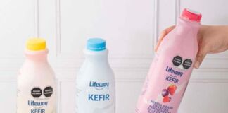 importancia de consumir probióticos