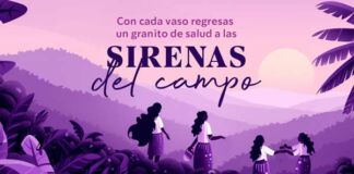 vaso reutilizable Starbucks caficultoras