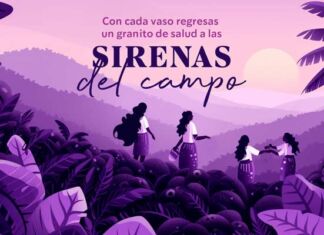 vaso reutilizable Starbucks caficultoras