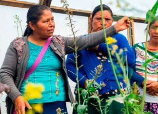 Kellanova implementa programa de nutrición en Chanal