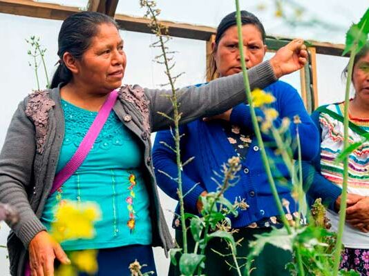 Kellanova implementa programa de nutrición en Chanal