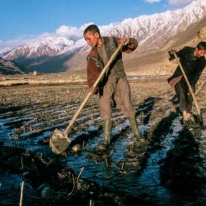 proyectos contra crisis climática Home Planet Fund