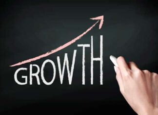 cómo crecer en temporada electoral