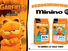 Minino lanza edición especial de Garfield: Fuera de Casa alianza Minino y Garfield