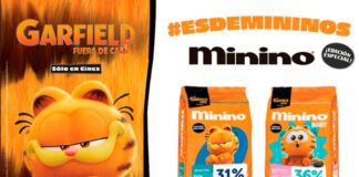 alianza Minino y Garfield