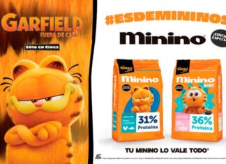 Minino lanza edición especial de Garfield: Fuera de Casa alianza Minino y Garfield