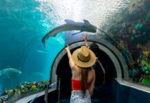 Descubre las maravillas turísticas de Los Primeros Pasos de Cortés en Veracruz primeros pasos de Cortés Veracruz