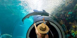 primeros pasos de Cortés Veracruz