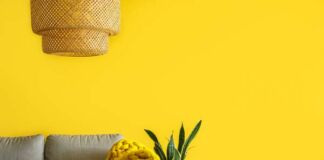 tendencias diseño de interiores 2024