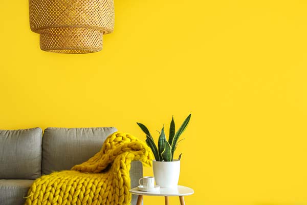 tendencias diseño de interiores 2024