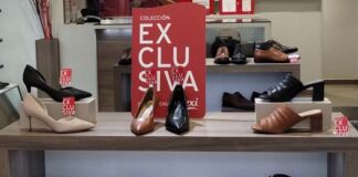 Flexi lanza colección exclusiva
