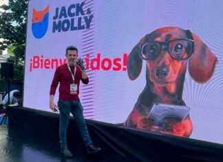 Llega Jack & Molly, la nueva app móvil para pet lovers app móvil Jack & Molly